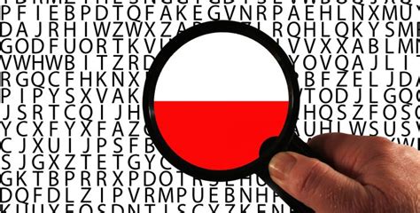 Przyswajanie wiedzy dotyczącej doskonałego języka polskiego w Internecie