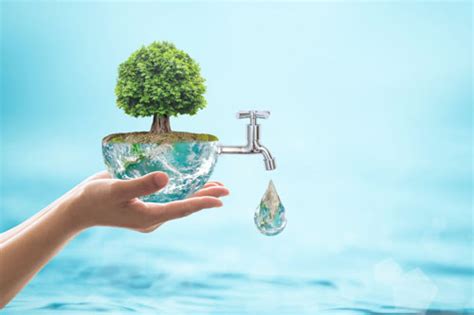 Wprowadź oszczędzanie wody gromadząc ją, dzięki między innymi zbiornikom na deszczową wodę 2023